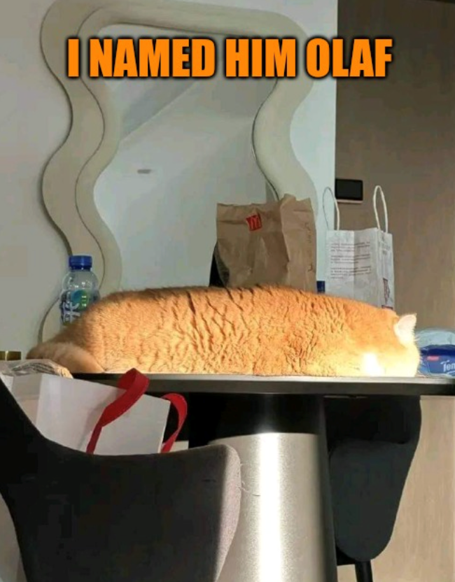 INAMED HIM OLAF Ten