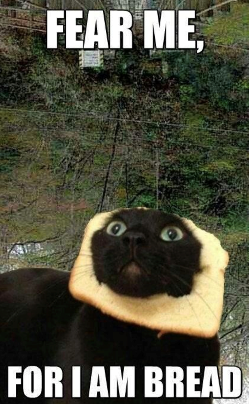 FEAR ME FOR I AM BREAD
