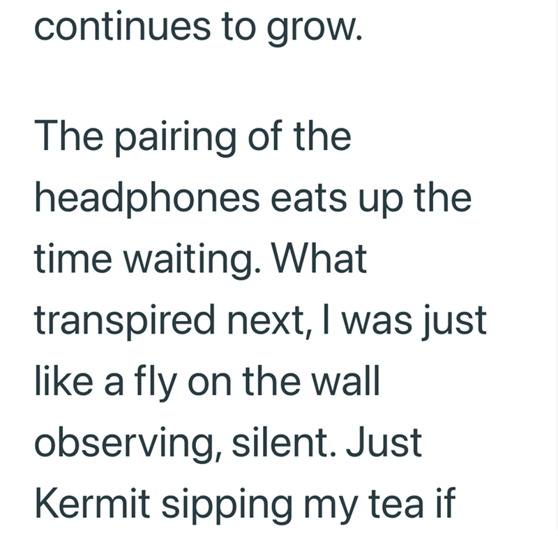 continues to grow. The pairing of the headphones eats up the time waiting. What transpired next, I was just like a fly on the wall observing, silent. Just Kermit sipping my tea if