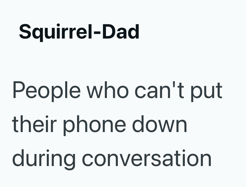 Squirrel-Dad People who can't put their phone down during conversation