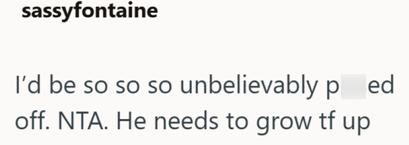 sassyfontaine I'd be so so so unbelievably pred off. NTA. He needs to grow tf up