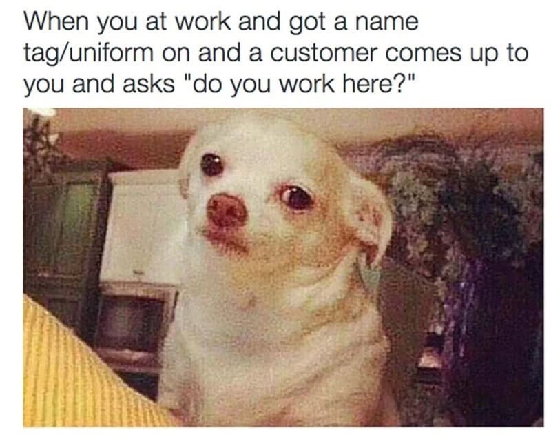When you at work and got a name tag/uniform on and a customer comes up to you and asks "do you work here?"