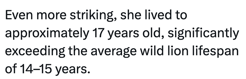 Even more striking, she lived to approximately 17 years old, significantly exceeding the average wild lion lifespan of 14-15 years.