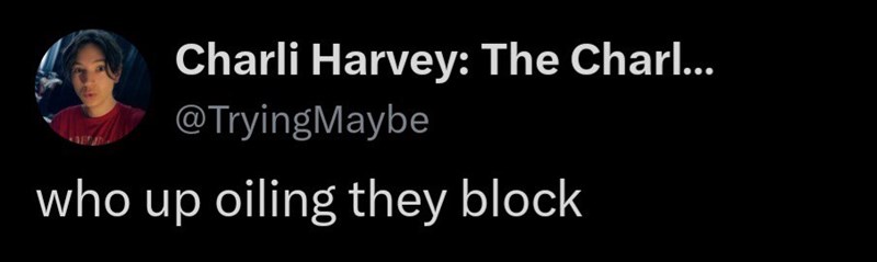 Charli Harvey: The Charl... @TryingMaybe who up oiling they block