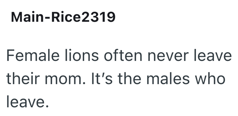 Main-Rice2319 Female lions often never leave their mom. It's the males who leave.
