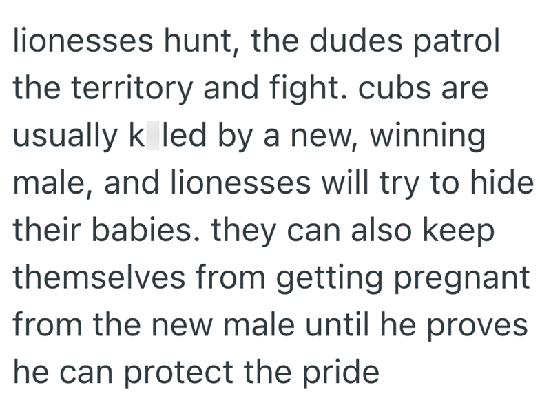 lionesses hunt, the dudes patrol the territory and fight. cubs are usually k led by a new, winning male, and lionesses will try to hide their babies. they can also keep themselves from getting pregnant from the new male until he proves he can protect the pride