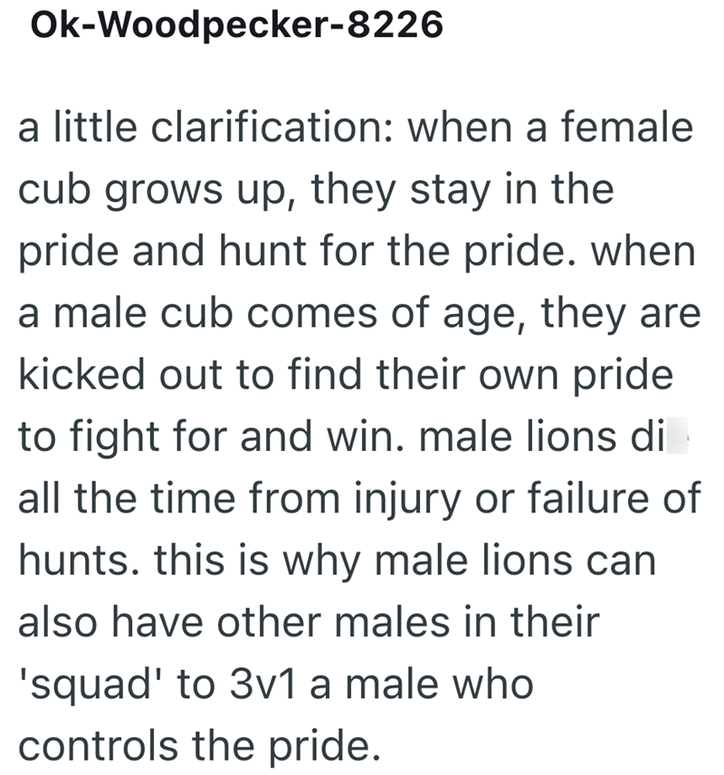 Ok-Woodpecker-8226 a little clarification: when a female cub grows up, they stay in the pride and hunt for the pride. when a male cub comes of age, they are kicked out to find their own pride to fight for and win. male lions di all the time from injury or failure of hunts. this is why male lions can also have other males in their 'squad' to 3v1 a male who controls the pride.