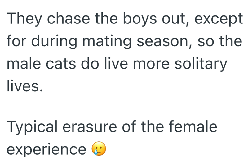 They chase the boys out, except for during mating season, so the male cats do live more solitary lives. Typical erasure of the female experience