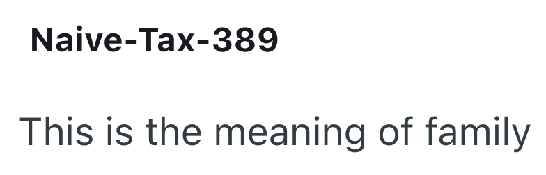Naive-Tax-389 This is the meaning of family
