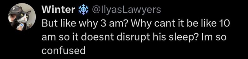 Winter @llyasLawyers But like why 3 am? Why cant it be like 10 am so it doesnt disrupt his sleep? Im so confused