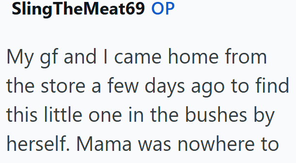 Sling The Meat69 OP My gf and I came home from the store a few days ago to find this little one in the bushes by herself. Mama was nowhere to
