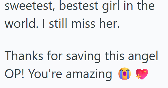 sweetest, bestest girl in the world. I still miss her. Thanks for saving this angel OP! You're amazing
