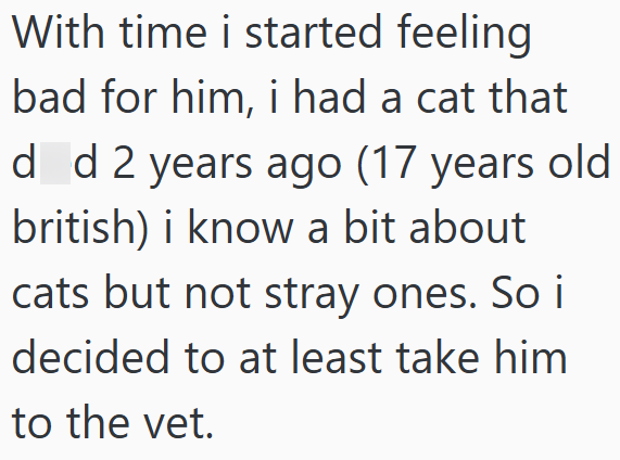 With time i started feeling bad for him, i had a cat that d d 2 years ago (17 years old british) i know a bit about cats but not stray ones. So i decided to at least take him to the vet.