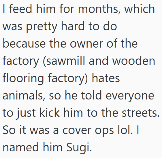 I feed him for months, which was pretty hard to do because the owner of the factory (sawmill and wooden flooring factory) hates animals, so he told everyone to just kick him to the streets. So it was a cover ops lol. I named him Sugi.