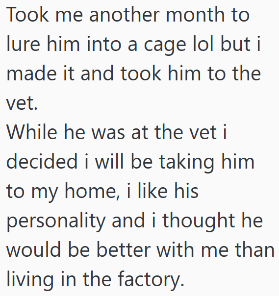 Took me another month to lure him into a cage lol but i made it and took him to the vet. While he was at the vet i decided i will be taking him to my home, i like his personality and i thought he would be better with me than living in the factory.