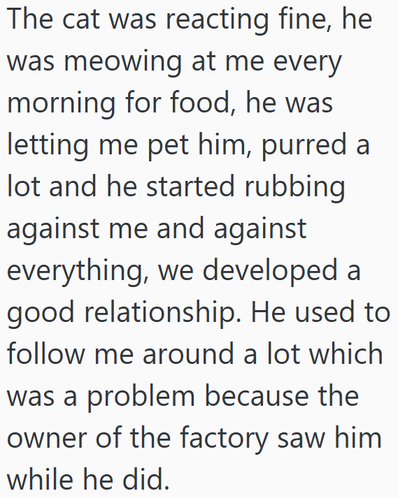 The cat was reacting fine, he was meowing at me every morning for food, he was letting me pet him, purred a lot and he started rubbing against me and against everything, we developed a good relationship. He used to follow me around a lot which was a problem because the owner of the factory saw him while he did.