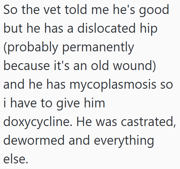 So the vet told me he's good but he has a dislocated hip (probably permanently because it's an old wound) and he has mycoplasmosis so i have to give him doxycycline. He was castrated, dewormed and everything else.