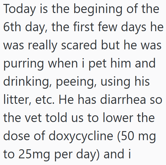 Today is the begining of the 6th day, the first few days he was really scared but he was purring when i pet him and drinking, peeing, using his litter, etc. He has diarrhea so the vet told us to lower the dose of doxycycline (50 mg to 25mg per day) and i