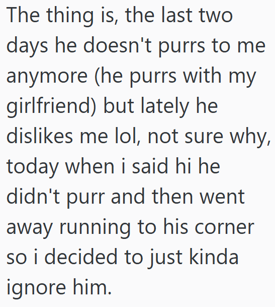 The thing is, the last two days he doesn't purrs to me anymore (he purrs with my girlfriend) but lately he dislikes me lol, not sure why, today when i said hi he didn't purr and then went away running to his corner so i decided to just kinda ignore him.