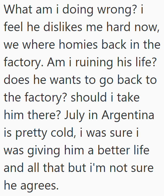 What am i doing wrong? i feel he dislikes me hard now, we where homies back in the factory. Am i ruining his life? does he wants to go back to the factory? should i take him there? July in Argentina is pretty cold, i was sure i was giving him a better life and all that but i'm not sure he agrees.