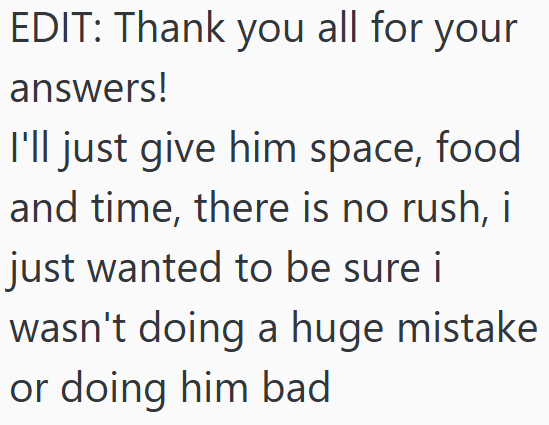 EDIT: Thank you all for your answers! I'll just give him space, food and time, there is no rush, i just wanted to be sure i wasn't doing a huge mistake or doing him bad
