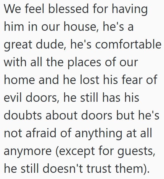 We feel blessed for having him in our house, he's a great dude, he's comfortable with all the places of our home and he lost his fear of evil doors, he still has his doubts about doors but he's not afraid of anything at all anymore (except for guests, he still doesn't trust them).