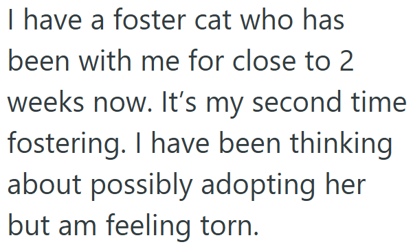 I have a foster cat who has been with me for close to 2 weeks now. It's my second time fostering. I have been thinking about possibly adopting her but am feeling torn.