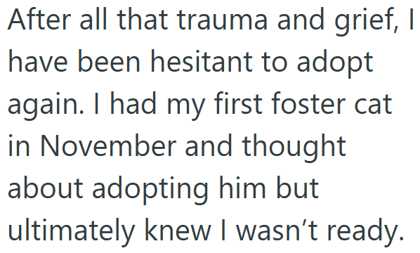 After all that trauma and grief, I have been hesitant to adopt again. I had my first foster cat in November and thought about adopting him but ultimately knew I wasn't ready.