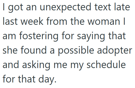 I got an unexpected text late last week from the woman I am fostering for saying that she found a possible adopter and asking me my schedule for that day.