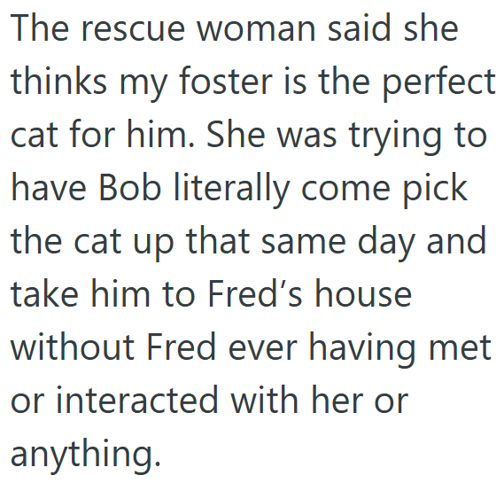 The rescue woman said she thinks my foster is the perfect cat for him. She was trying to have Bob literally come pick the cat up that same day and take him to Fred's house without Fred ever having met or interacted with her or anything.