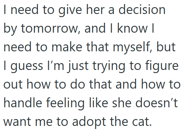 I need to give her a decision by tomorrow, and I know I need to make that myself, but I guess I'm just trying to figure out how to do that and how to handle feeling like she doesn't want me to adopt the cat.