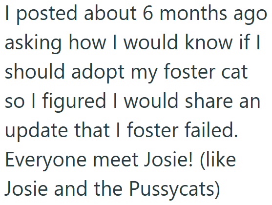 I posted about 6 months ago asking how I would know if I should adopt my foster cat so I figured I would share an update that I foster failed. Everyone meet Josie! (like Josie and the Pussycats)