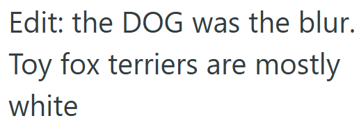 Edit: the DOG was the blur. Toy fox terriers are mostly white