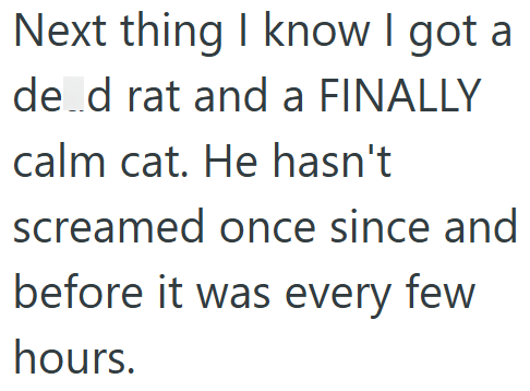Next thing I know I got a de d rat and a FINALLY calm cat. He hasn't screamed once since and before it was every few hours.