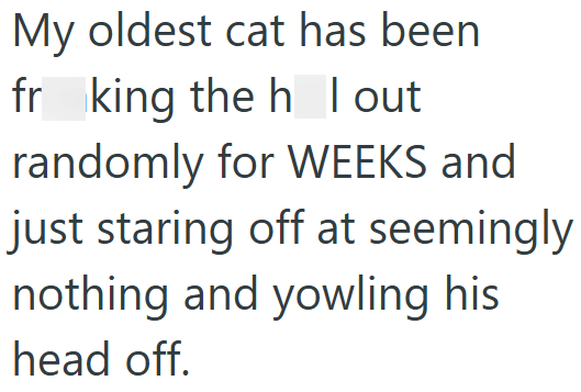 My oldest cat has been frking the hlout randomly for WEEKS and just staring off at seemingly nothing and yowling his head off.