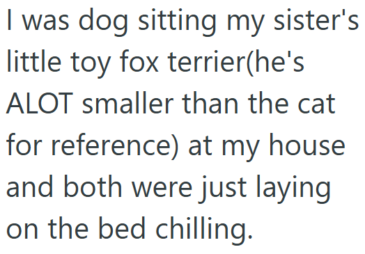 I was dog sitting my sister's little toy fox terrier(he's ALOT smaller than the cat for reference) at my house and both were just laying on the bed chilling.