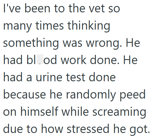 I've been to the vet so many times thinking something was wrong. He had blood work done. He had a urine test done because he randomly peed on himself while screaming due to how stressed he got.