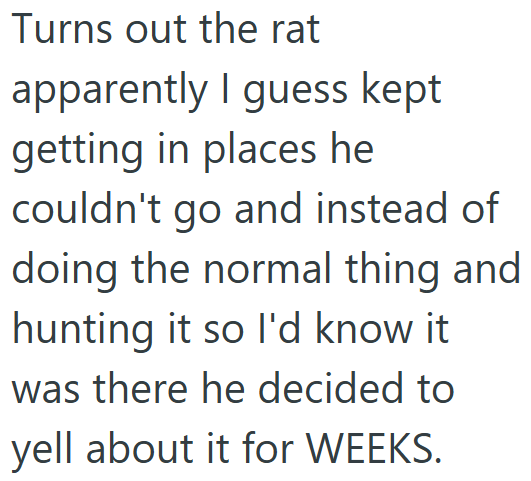 Turns out the rat apparently I guess kept getting in places he couldn't go and instead of doing the normal thing and hunting it so I'd know it was there he decided to yell about it for WEEKS.