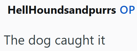 HellHoundsandpurrs OP The dog caught it