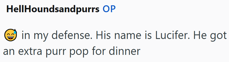 HellHoundsandpurrs OP ③in my defense. His name is Lucifer. He got an extra purr pop for dinner