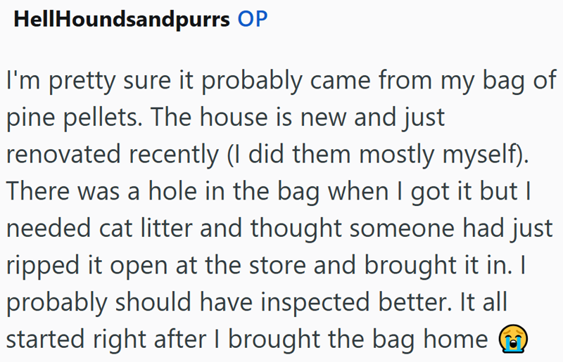 HellHoundsandpurrs OP I'm pretty sure it probably came from my bag of pine pellets. The house is new and just renovated recently (I did them mostly myself). There was a hole in the bag when I got it but I needed cat litter and thought someone had just ripped it open at the store and brought it in. I probably should have inspected better. It all started right after I brought the bag home