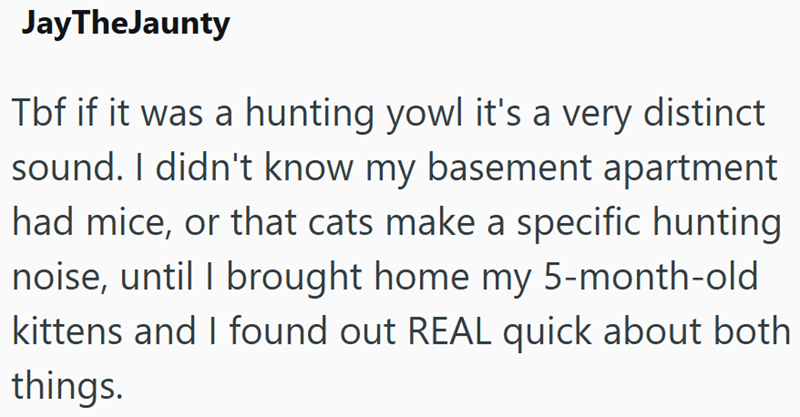 JayTheJaunty Tbf if it was a hunting yowl it's a very distinct sound. I didn't know my basement apartment had mice, or that cats make a specific hunting noise, until I brought home my 5-month-old kittens and I found out REAL quick about both things.