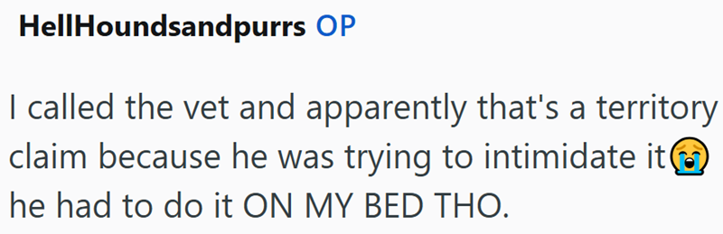 HellHoundsandpurrs OP I called the vet and apparently that's a territory claim because he was trying to intimidate it he had to do it ON MY BED THO.
