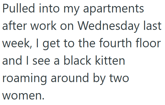 Pulled into my apartments after work on Wednesday last week, I get to the fourth floor and I see a black kitten roaming around by two women.