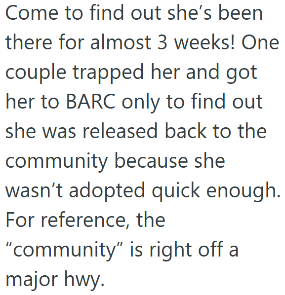 Come to find out she's been there for almost 3 weeks! One couple trapped her and got her to BARC only to find out she was released back to the community because she wasn't adopted quick enough. For reference, the "community" is right off a major hwy.