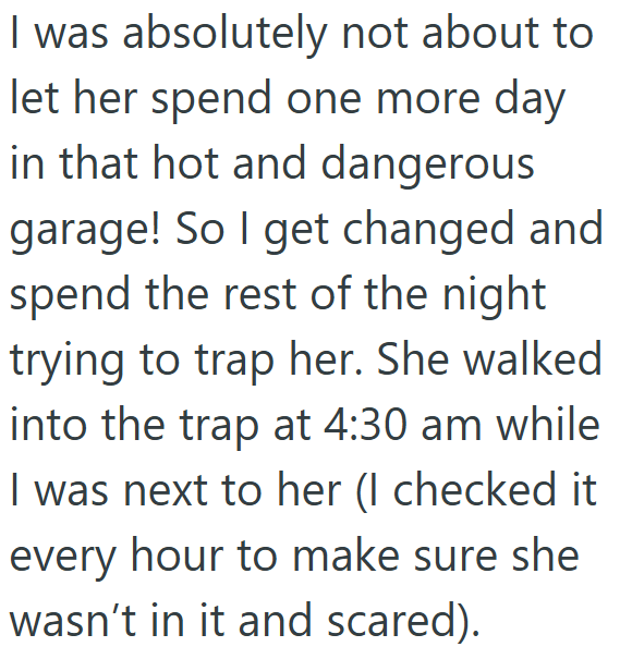 I was absolutely not about to let her spend one more day in that hot and dangerous garage! So I get changed and spend the rest of the night trying to trap her. She walked into the trap at 4:30 am while I was next to her (I checked it every hour to make sure she wasn't in it and scared).