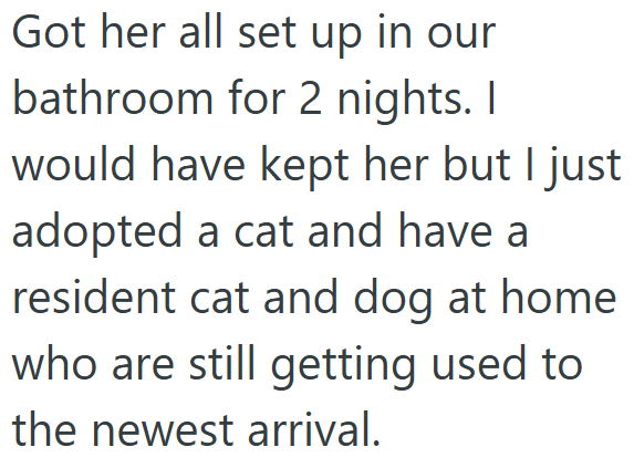 Got her all set up in our bathroom for 2 nights. I would have kept her but I just adopted a cat and have a resident cat and dog at home who are still getting used to the newest arrival.