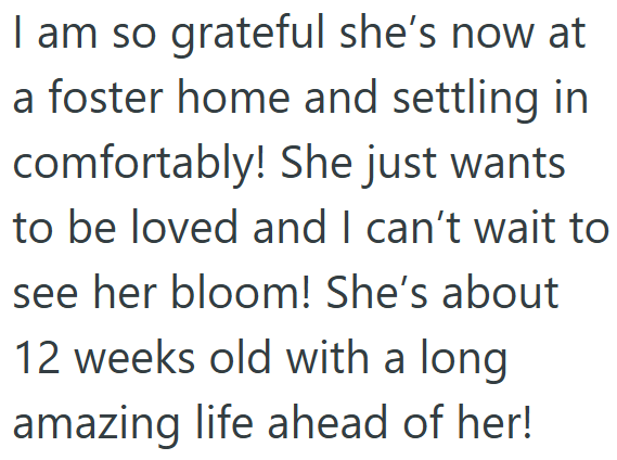 I am so grateful she's now at a foster home and settling in comfortably! She just wants to be loved and I can't wait to see her bloom! She's about 12 weeks old with a long amazing life ahead of her!