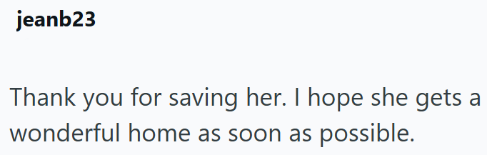 jeanb23 Thank you for saving her. I hope she gets a wonderful home as soon as possible.