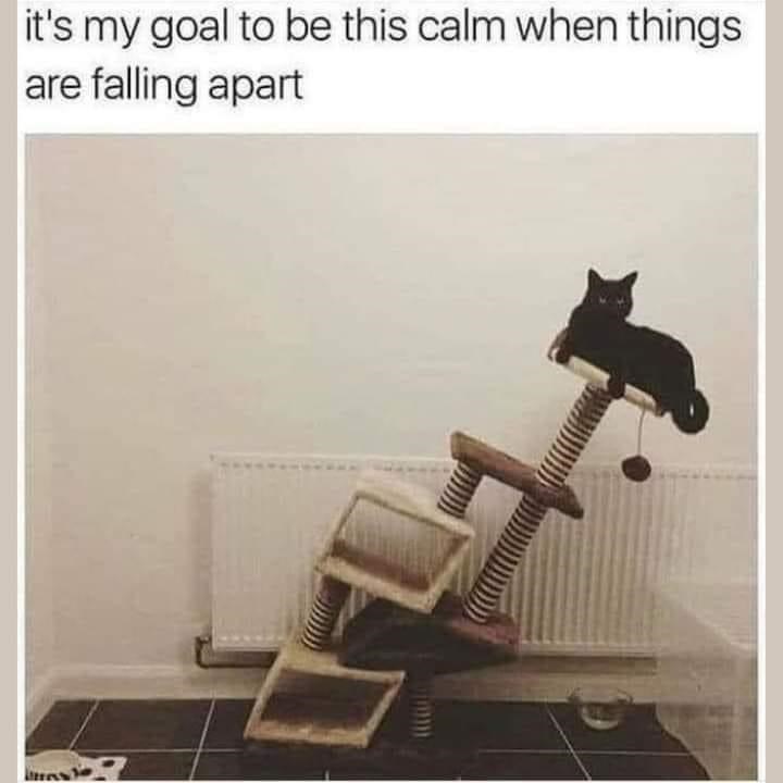it's my goal to be this calm when things are falling apart